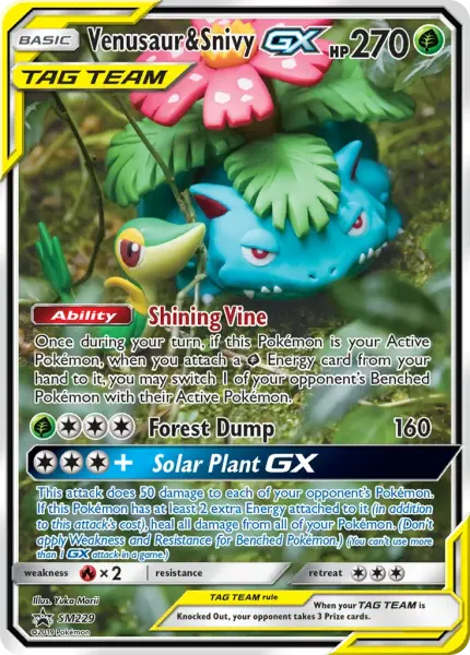 Venusaur & Snivy-GX (SM Black Star Promos SM229)