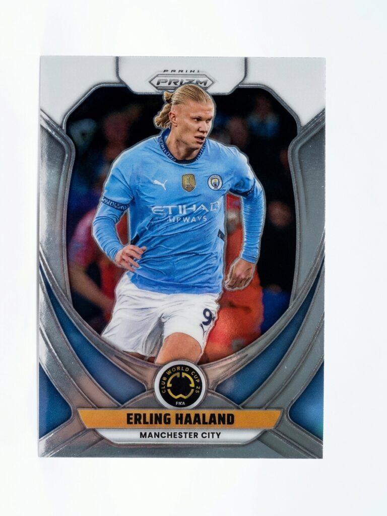Erling Haaland (Panini)
